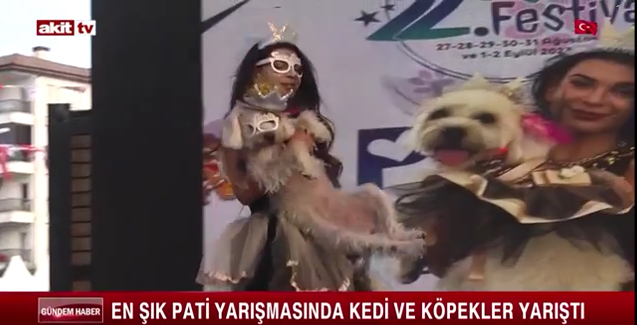 7-akit_tv.jpg