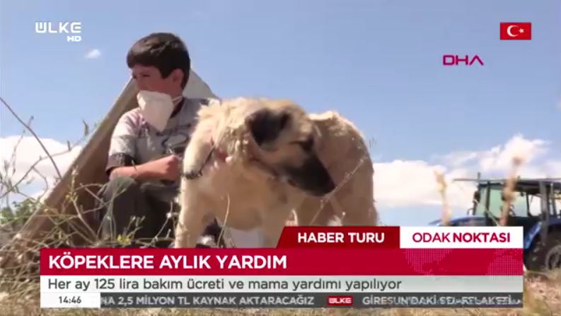 Huzurlu Ev Projesi Haberi ÜLKE TV