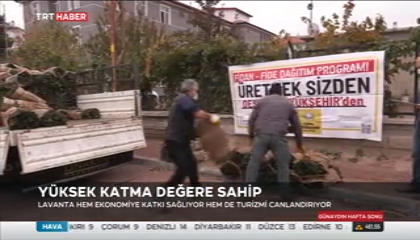 2-Lavanta Merkezi Haberi - TRT HABER