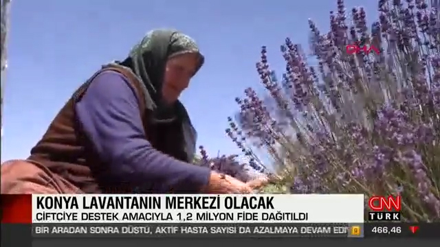 3-Lavanta Merkezi Haberi - CNN TÜRK