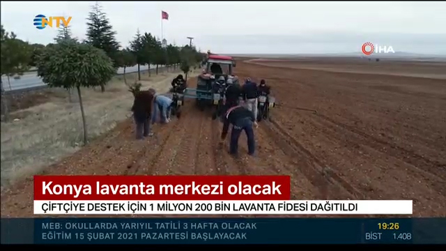 4-Lavanta Merkezi Haberi - NTV