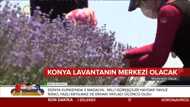 7-Lavanta Merkezi Haberi - KANAL 24